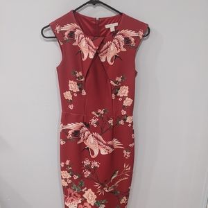 New York & Company Dress
